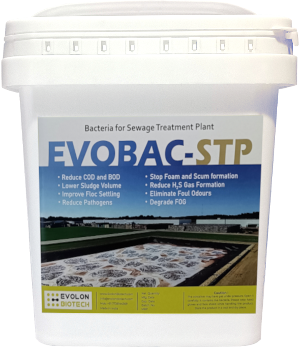 Colour Reduction in Textile Effluent